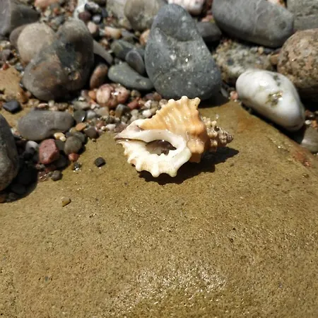 In Ogliastra Feriehus *