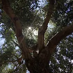 In Ogliastra Semesterbostad