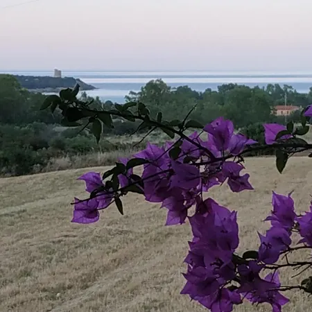 度假居 In Ogliastra Tertenìa